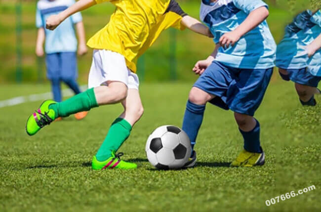 杨瀚森个人能力遭刘维伟点评，主帅称其角色很正常